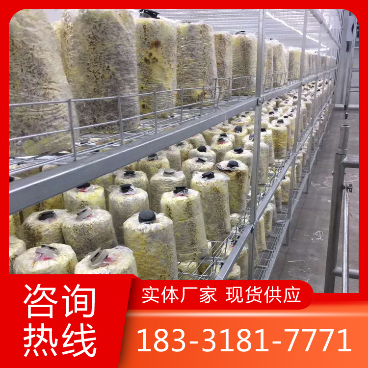 食用菌層架