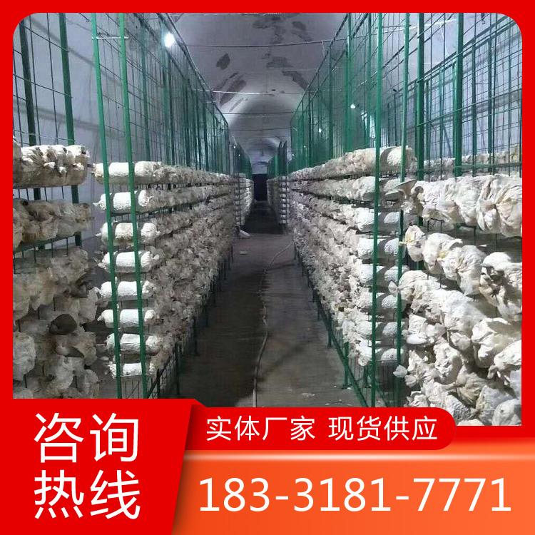 出菇浸塑網(wǎng)格架